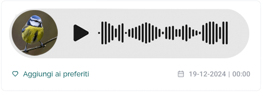 Contenuto audio catturato dal Nido smart Bird House
