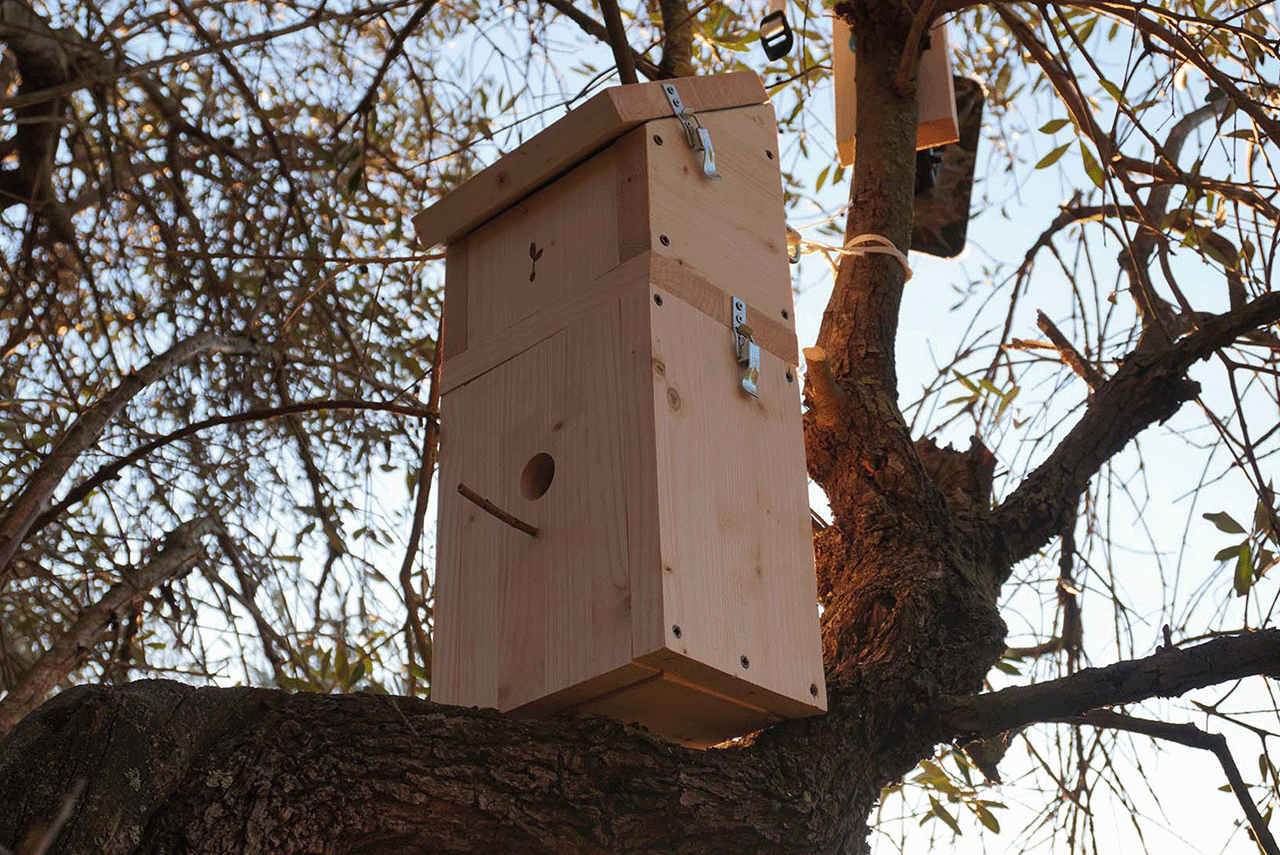 Nido Smart Bird House by Piantando