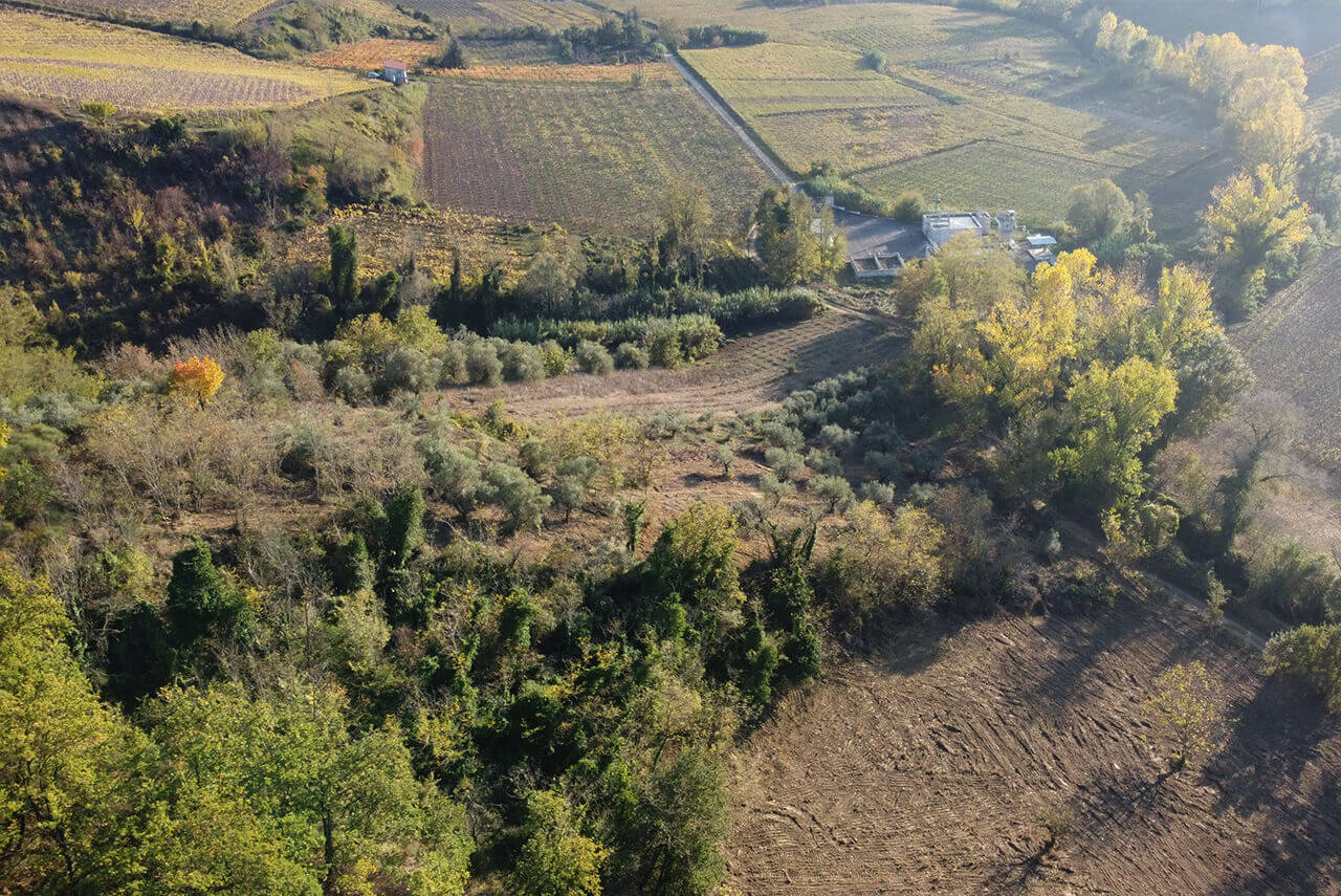 Riserva Silva di Piantando